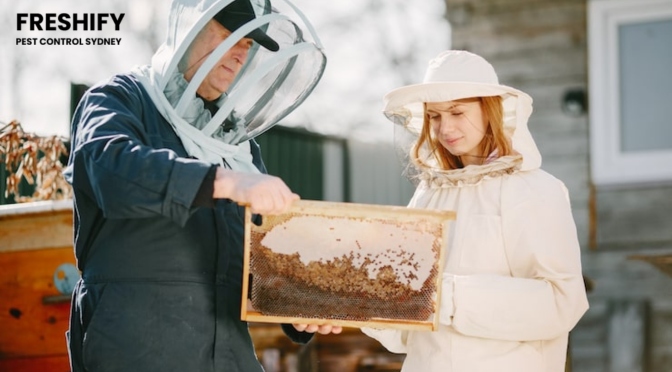 When is the Best Time to Address a Bee Infestation?